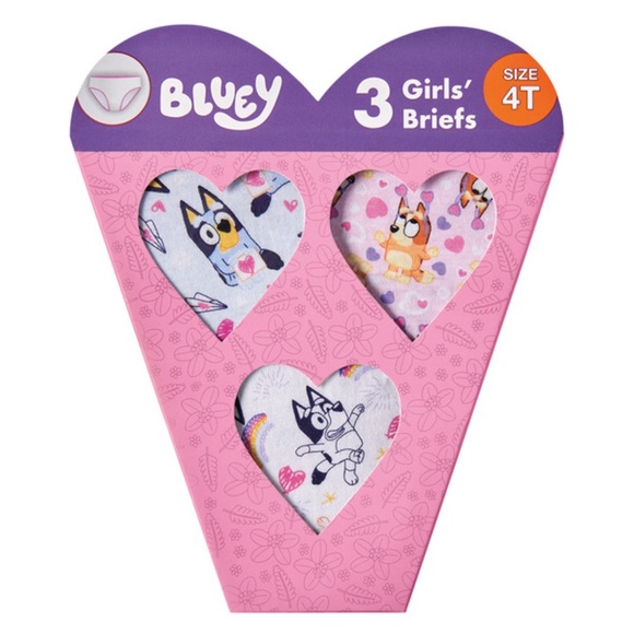 Childrens Character Valentine's Day Underwear Set, Bluey, size 4T - Picture 1 of 5